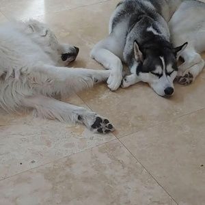 Meet your Posher, Jamie